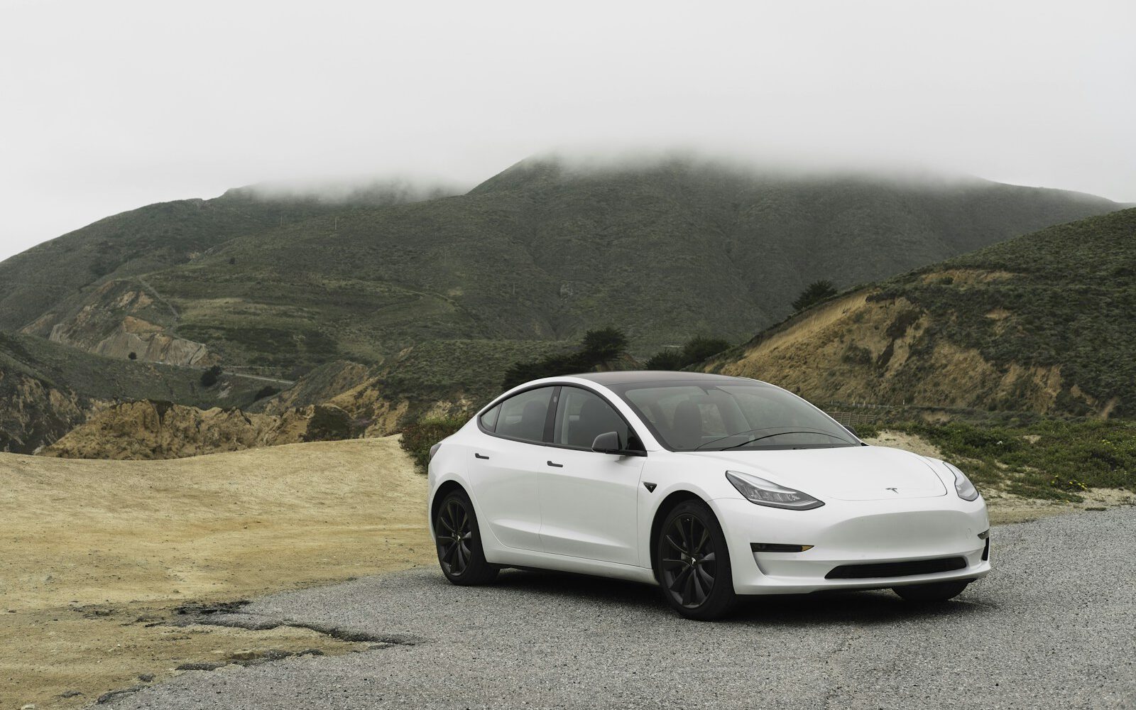 Tesla Model 3 efter premium dekontaminering